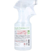 ビッグバイオ ギトギト油汚れ落とし 300mL 4573572010440 1本(300mL入)（直送品）