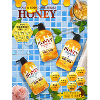 ハッピーバース HONEY 蜂蜜ボディソープ 600mL 4582550583432 1本(600mL入)（直送品）