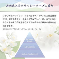 ファーファファインフレグランス レイヤリングウォッシュ 洗たく洗剤 本体600g 4902135147284 1本(600g入)（直送品）