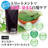 テンスター　ヘナカラートリートメント　ライトブラウン250g　三宝