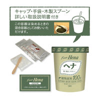 テンスター ファインヘナ ブラウン 80g（40g×2パック） 1個 三宝 ヘナ 白髪染め