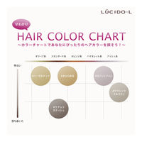 ルシードエル ミルクジャムヘアカラー＃ヘーゼルナッツ レディース用 髪染め 1剤40g・2剤80ml・TR5g マンダム（医薬部外品）