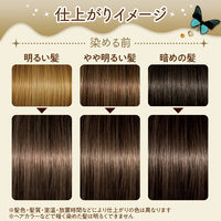 ルシードエル ミルクジャムヘアカラー＃生チョコガナッシュ レディース用 髪染め 1剤40g・2剤80ml・TR5g  マンダム（医薬部外品）