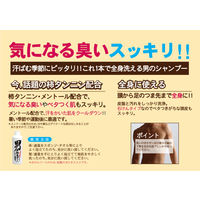 男のシャンプー 300ml 1本 地の塩社