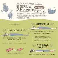 骨盤 スリム ストレッチクッション かぎのしっぽの猫 1個 FUJIEI エクサイズ カバー付き 骨盤矯正 まくら 足置き 腰枕 動物柄 かわいい