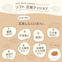 ソフト 正座クッション ハリネズミ 1個 FUJIEI エクサイズ カバー付き まくら 足置き 姿勢矯正 背筋が伸びる 動物柄 かわいい