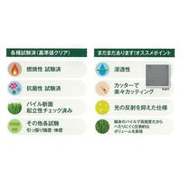 総合園材 リアル人工芝 芝園くん 1×10m パイル高38mm 2058077 1枚（直送品）