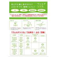 ヴェルデ ヴェルデシリカ 2058082 1袋（直送品）