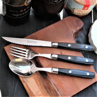 ライヨール ビストロカトラリー コレクション セット ノアール 4310069 1箱（直送品）