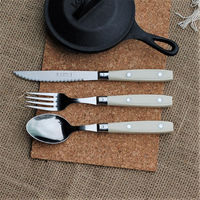 ライヨール ビストロカトラリー コレクション ステーキナイフ アイボリ 白箱 4310082 1本（直送品）