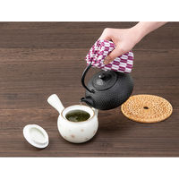 池永鉄工 鉄瓶 英 507512 1個（直送品）