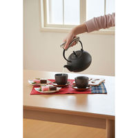 池永鉄工 鉄瓶 希のぞみ 507506 1個（直送品）