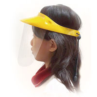 三共コーポレーション フェイスプロテクターミニ A979 1個（直送品）