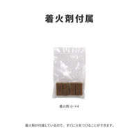 ラプラス スウェーデントーチ ENZINE X OBF-002 1個（直送品）