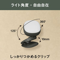 ムサシ 充電式 護衛さんライト チャコールグレー WRC-14CG 1個