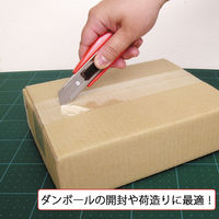 エヌティー NT カッターZL型 ZL-1P-R 袋 1本（直送品）