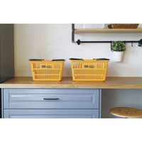 錦化成 スヌーピー ミニエコバスケット1 マンゴー なし 1個