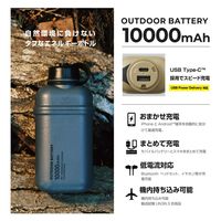 モバイルバッテリー 10000mAh 大容量 防水 防塵 IP67 ブラック DE-NEST-10000BK エレコム 1個（直送品）