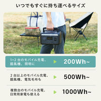 ポータブル電源 205Wh リン酸鉄 バッテリー 急速充電 PD 最大65W ブラック DE-PS200PEBK エレコム 1個（直送品）