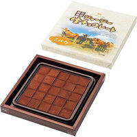 ヒルゼンミルキー ジャージー生チョコレート HJZNC-10 1袋(25粒入)（直送品）