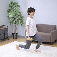 安全ソフトダンベル ふわベル 0.5kg SFTD-2.0 1個 柔らかな砂状の重り 安心設計 落下対策 リハビリ 運動 高齢者 医療 介護 山善