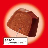 チョコレート菓子 大粒で味わうガーナ　9粒入 1セット（1個×3）