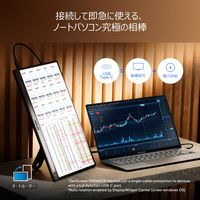 ASUS 15.6インチモバイルモニター ZenScreen MB166CR 1台