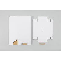 SANKA パッと組み立てフタ付きゴミ箱 40L 2台入 ブラック DBFG-40BK 1ケース(10セット入)（直送品）