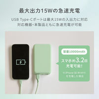 オウルテック Type-C 入出力対応 10000mAh 小型軽量モバイルバッテリー OWL-LPB10012-SAG 1個