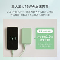 オウルテック Type-C 入出力対応 5000mAh 小型軽量モバイルバッテリー OWL-LPB5012-MGY 1個（直送品）