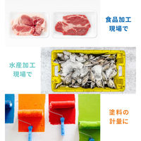 エー・アンド・デイ 防塵防水はかり<JCSS校正付>≪ひょう量3000g 最少表示1g≫計量皿大 HL3000LWP-JA-00J00 1台（直送品）