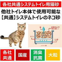 ひのキレイ 猫砂 消臭・抗菌チップ 4L（約2ヶ月分）1セット（1袋×6）アース・ペット