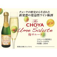 チョーヤ梅酒 ザ・チョーヤ 梅サルーテ 5度 200ml 1セット（1本×2） スパークリング梅酒
