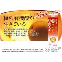 チョーヤ梅酒 チョーヤ こいとろり パック　1.8L  1セット（1本×6） 梅酒