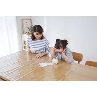 アイメディア 汚れ防止透明テーブルカバー 120×200cm a32930 1セット(2枚入)
