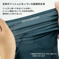 ロックブロス メッシュフェイスカバー(13220005001)ブラック 13220005001 1個 4570122012886（直送品）