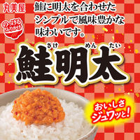 丸美屋 のっけるふりかけ 鮭明太 90g 1個 丸美屋食品工業 瓶詰