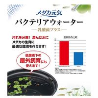 メダカ元気 バクテリアウォーター 国産 300ml 1セット（1個×3）ジェックス