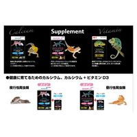 カルシウム 爬虫類・小動物用 90g パウダータイプ スプーン付 1個 ジェックス