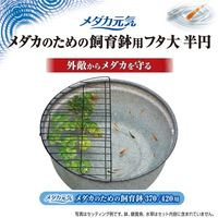 メダカ元気 メダカのための飼育鉢用 フタ 大半円 1個 ジェックス