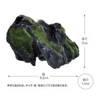 癒し水景 モスロック Hide 1個 ジェックス 水槽
