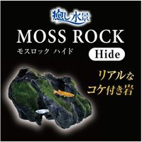 癒し水景 モスロック Hide 1セット（1個×3）ジェックス 水槽