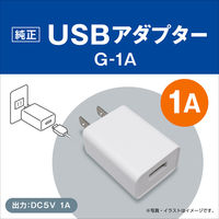 USBアダプター G-1A ホワイト 1個 ジェックス