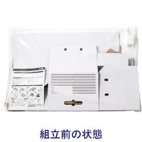 アイリスオーヤマ　引き出し式収納　オフィスボックス　奥行440mm　 オリジナル（わけあり品）