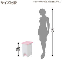 リス ペダルペール ニーナカラー22L ブルー 1個（20Lゴミ袋対応）ペタル式フタ付 ダストボックス幅265×奥行400×高さ430 オリジナル（わけあり品）