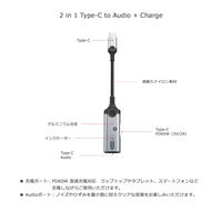Vodaview USB-C to USB-Cオーディオ・USB-C給電 変換アダプター VV-MH342-VV 1個