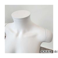 アズワン PP製 卓上婦人トルソー 9号 黒 67-6609-35 1個（直送品）