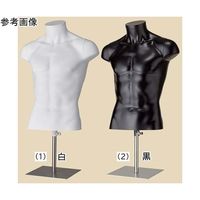 アズワン PP製 卓上紳士トルソー M 白 67-6609-36 1個（直送品）