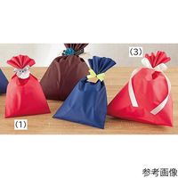 アズワン 無地 梨地ギフトバッグ レッド 幅24×高さ38cm 20枚 67-6873-01 1セット(20枚)（直送品）