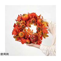 アズワン パンプキンリース 直径50cm 秋ハロウィン オレンジ 67-7115-67 1個（直送品）